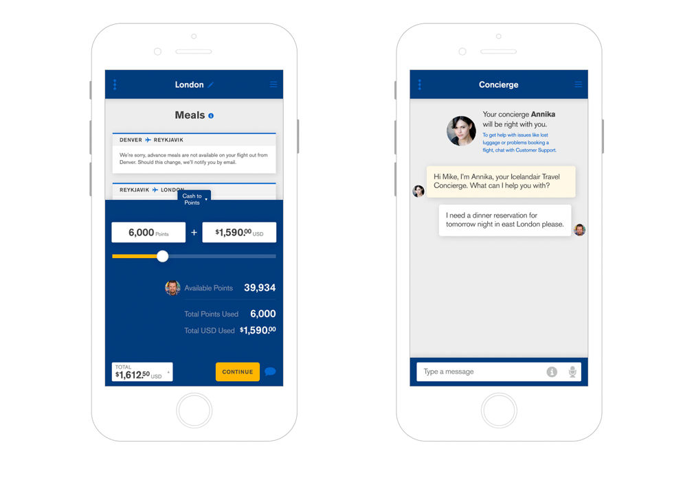 Icelandair iOS App Wireframe